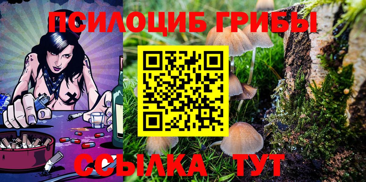 Псилоцибиновые грибы Psilocybine cubensis  где найти наркотики  Минеральные Воды  Галлюциногенные грибы Magic Shrooms  Вход с VPN 